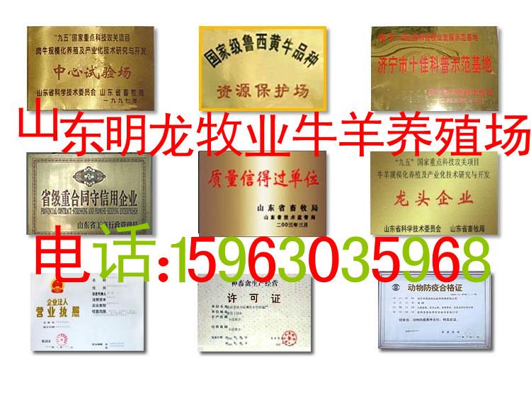 供應(yīng)2012養(yǎng)殖什么*錢(qián)