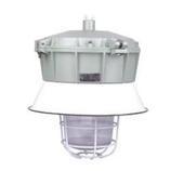 防爆防腐金鹵燈BF-250W圖片