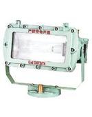 防爆投光燈BAT-400圖片