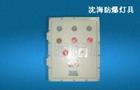 BXK58防爆控制箱圖片