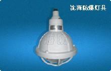 全塑增安型防爆腐燈FAD-A圖片