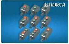 ZXF8030防爆防腐按鈕圖片