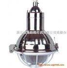 防爆不銹鋼工廠燈BAD54-250G圖片