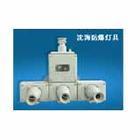 BXK防爆檢修箱圖片