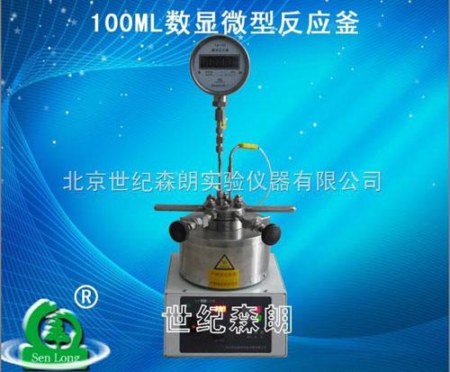 浙江100ML數(shù)顯微型反應(yīng)釜圖片