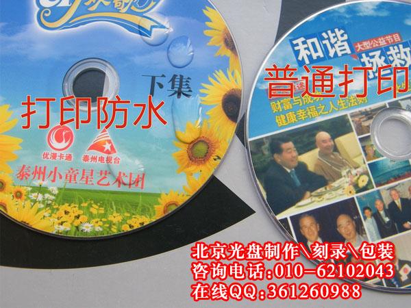 dvd视频光盘制作图片