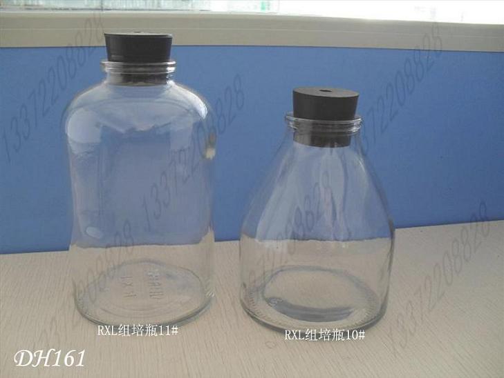 供應(yīng)石斛組培瓶培養(yǎng)玻璃瓶定做廠家