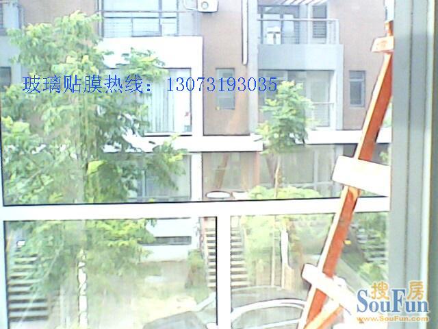供應玻璃貼膜價格石家莊