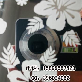 供應(yīng)黑色花紋彩色不銹鋼電梯轎廂轎頂裝