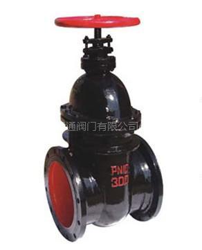 Z45T暗桿鑄鐵閘閥圖片