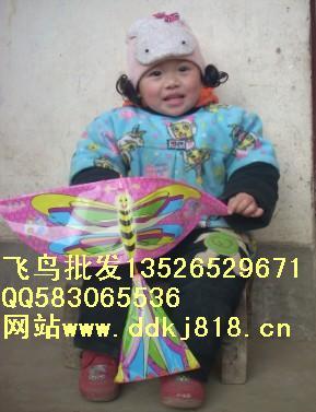 創(chuàng)意小手工飛鳥玩具圖片/創(chuàng)意小手工飛鳥玩具樣板圖 (2)
