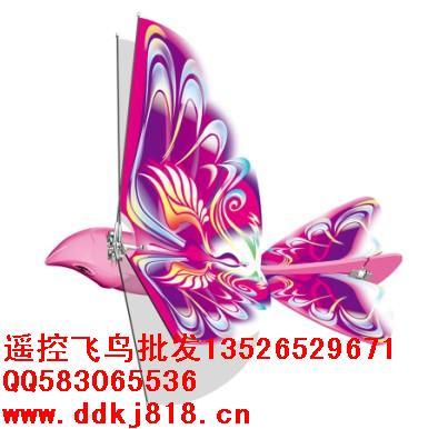 哪個(gè)廠的電動(dòng)飛鷹最便宜圖片