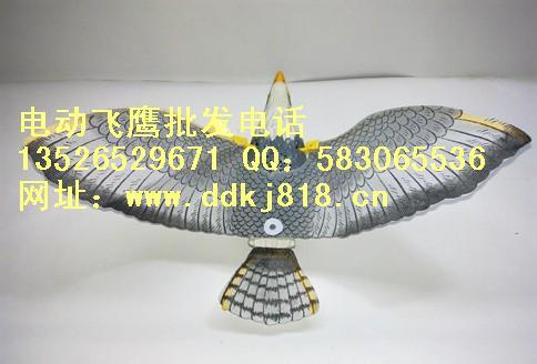 哪個廠的電動飛鷹最便宜圖片/哪個廠的電動飛鷹最便宜樣板圖 (3)