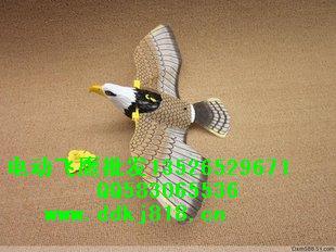 供應(yīng)彩色電動(dòng)*點(diǎn)點(diǎn)科技模擬飛鷹形態(tài)設(shè)計(jì)