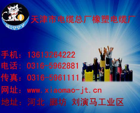 供应CEFR电缆CEFRP电缆厂家电话0316-5962882