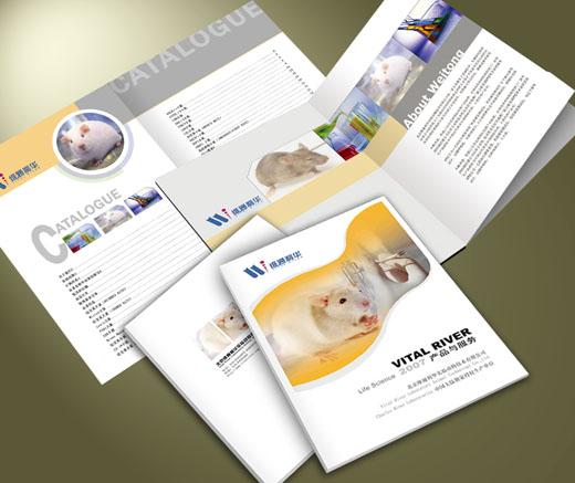 供應(yīng)雙井畫(huà)冊(cè)設(shè)計(jì)期刊雜志設(shè)計(jì)包裝設(shè)計(jì)