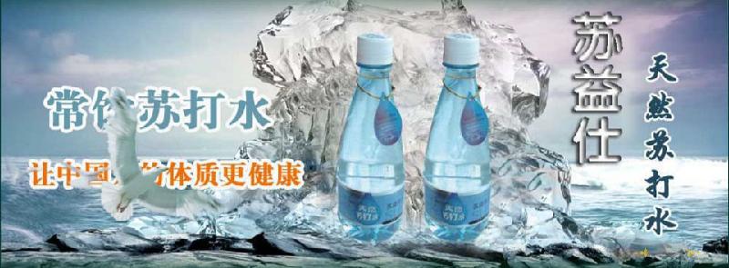 供應(yīng)五大連池沾河蘇益仕蘇打*臺(tái)專賣