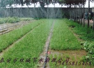 供應(yīng)微噴管?chē)姽喙?  title=