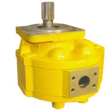供應(yīng) 濟(jì)南柳工裝載機(jī)液壓泵