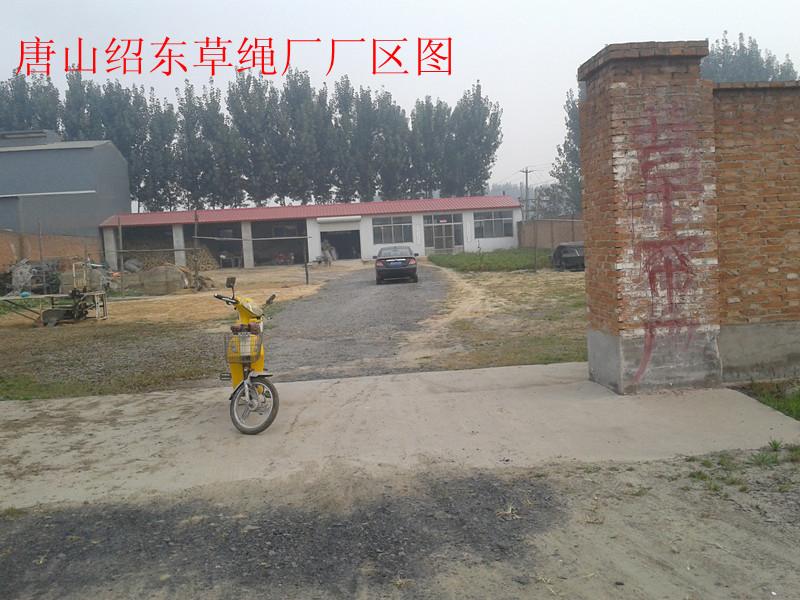 山西省草簾子圖片
