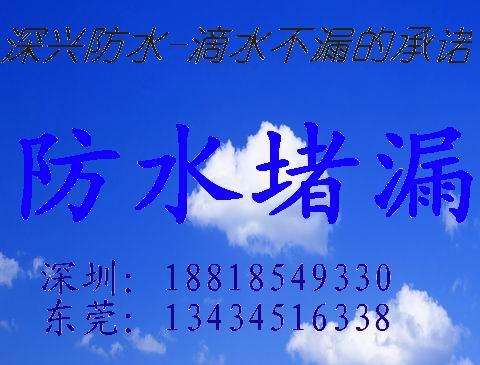 供应东莞长安防水公司长安专业做防水的公司找哪家好