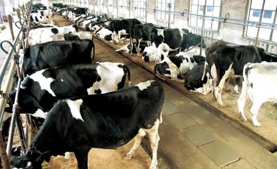 二氧化氯圖片/二氧化氯樣板圖 (2)