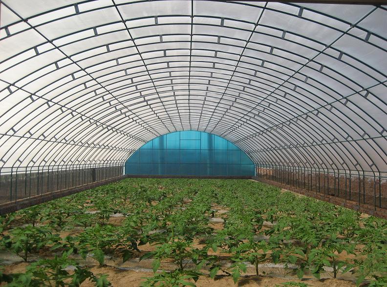 供應(yīng)雙梁溫室大棚骨架價格