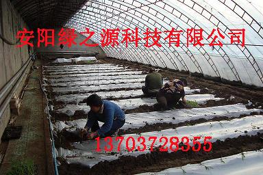 供應(yīng)鋼管鍍塑大棚價格溫室大棚骨