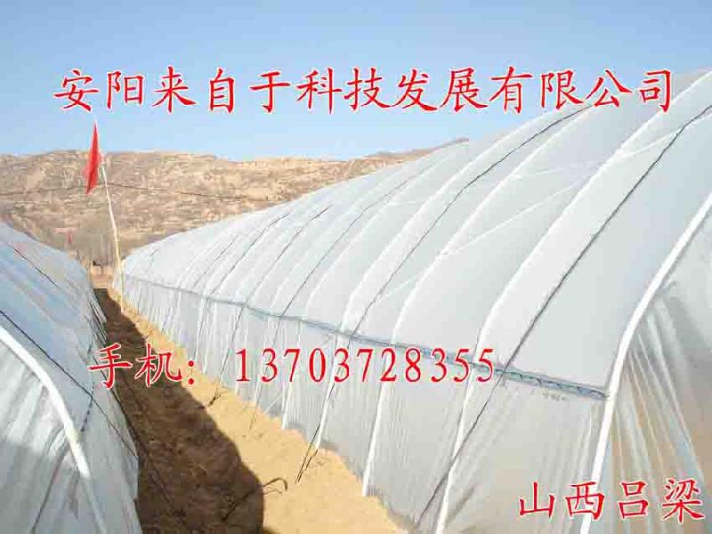 供應(yīng)鍍塑鋼管大棚骨架價格