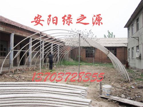 溫室蔬菜大棚圖片/溫室蔬菜大棚樣板圖 (3)