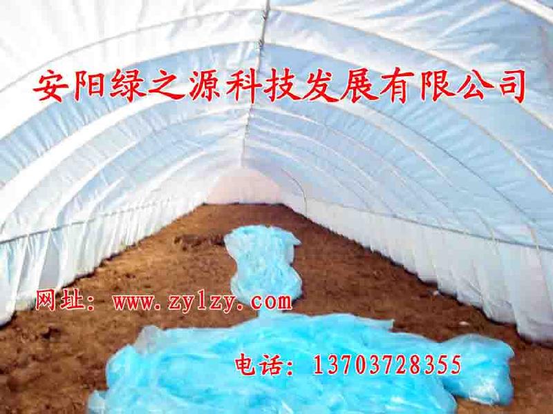 供應(yīng)鍍塑鋼管大棚骨架價格