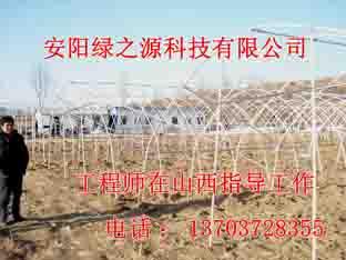 供應(yīng)鍍塑鋼管大棚骨架價格