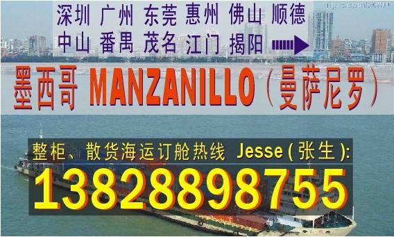 东莞广州深圳到墨西哥MANZANILLO曼萨尼约的国际海运船务公司