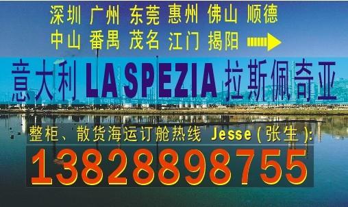 供应深圳 广州到意大利LA SPEZIA拉斯佩奇亚的国际海运物流公司