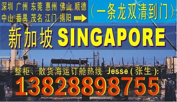 供应深圳广州 佛山东莞到新加坡SINGAPORE的国际海运船务公司