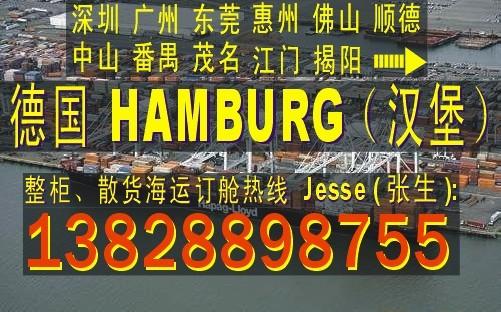 供应深圳广州东莞中山到德国HAMBURG汉堡的国际海运物流公司