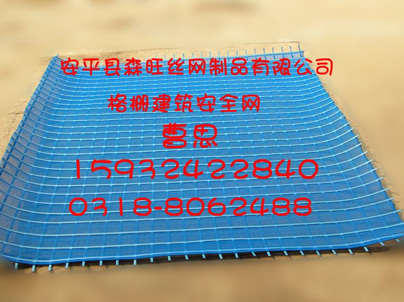 鋼塑建筑安全網(wǎng)圖片/鋼塑建筑安全網(wǎng)樣板圖 (2)