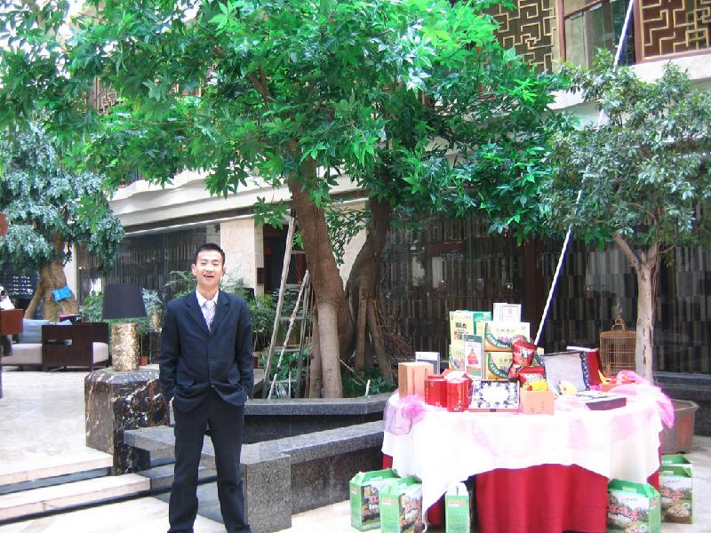 供應(yīng)東營假樹