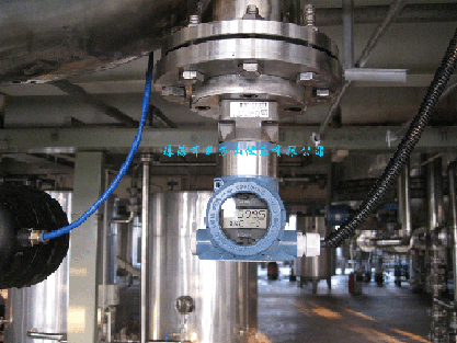 供應(yīng)WS3051-MDH在線濃度計(jì)