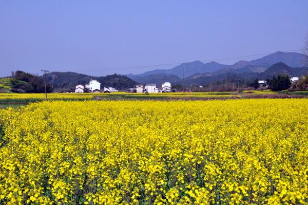 安徽省皖南国际旅游文化示范区拓展商务旅游中心图片