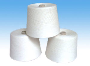 供應(yīng)專業(yè)生產(chǎn)維綸合股紗24支/2
