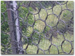 供應(yīng)煤礦支架網(wǎng)礦篩網(wǎng)防拋網(wǎng)鐵礦安全網(wǎng)