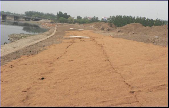 供應(yīng)麻椰毯