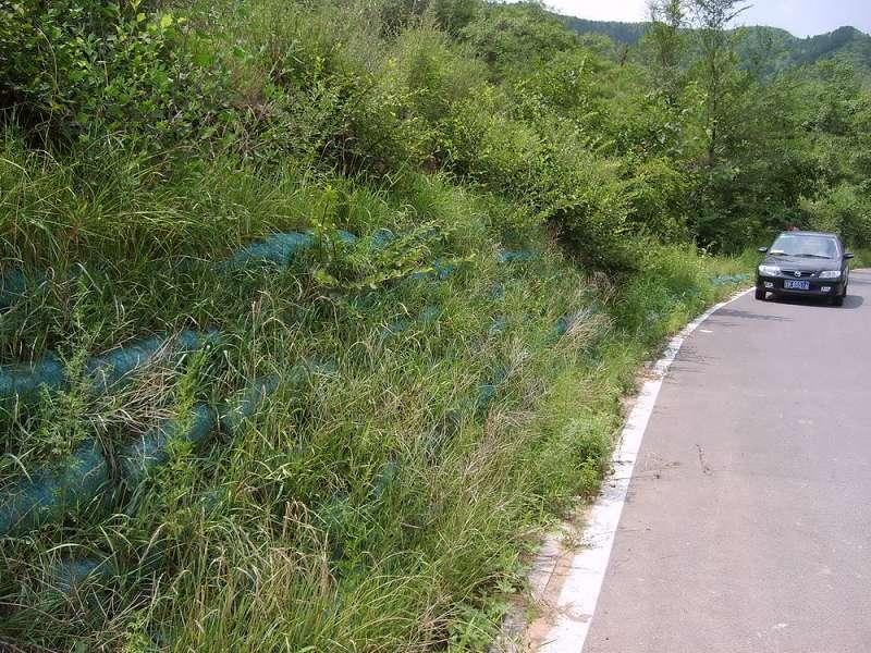 供應(yīng)工程綠化植生袋