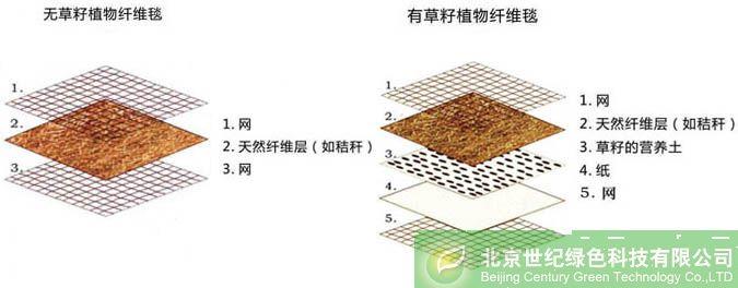 供应绿化草毯