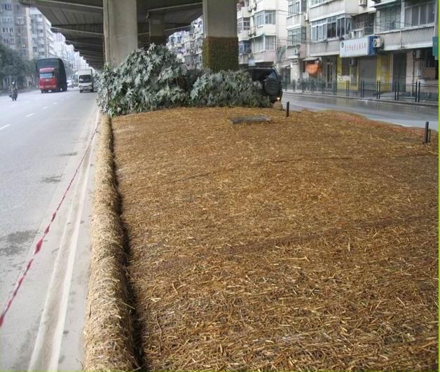 供应北京植生毯