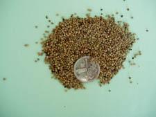 供應(yīng)草坪植生袋