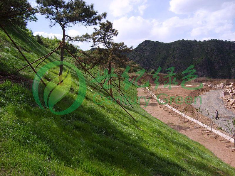 供應(yīng)邊坡掛網(wǎng)噴播率阿虎