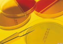 廣東涂料檢測(cè)圖片