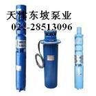 供應(yīng)天津海水泵02228513096